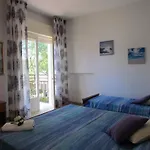 Spacious Near The *